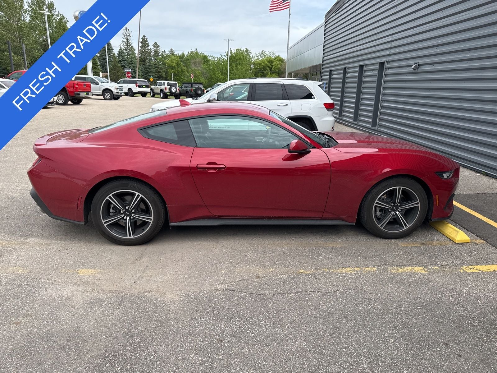 2024 Ford Mustang EcoBoost Premium Fastback