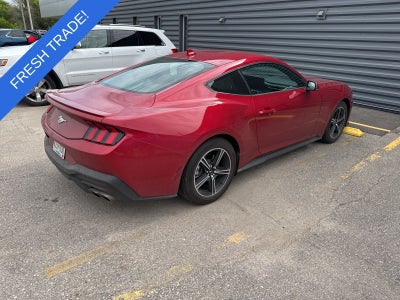 2024 Ford Mustang EcoBoost Premium Fastback